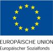 EU_Fahne_mit_ESF-300x287